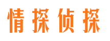 汝阳外遇调查取证